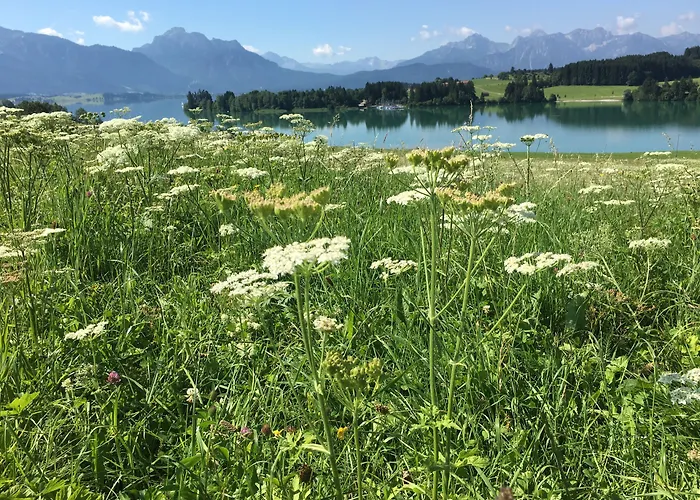 Old Kings Design Hostel Füssen